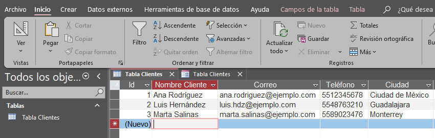Base de Datos Microsoft Access