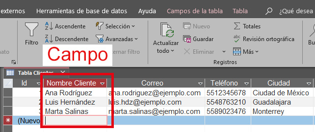 Campos en Microsoft Access
