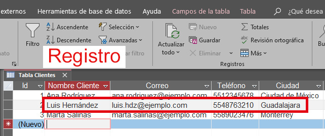 Registros en Microsoft Access