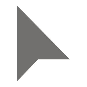 Diseño gráfico vectorial - Selección