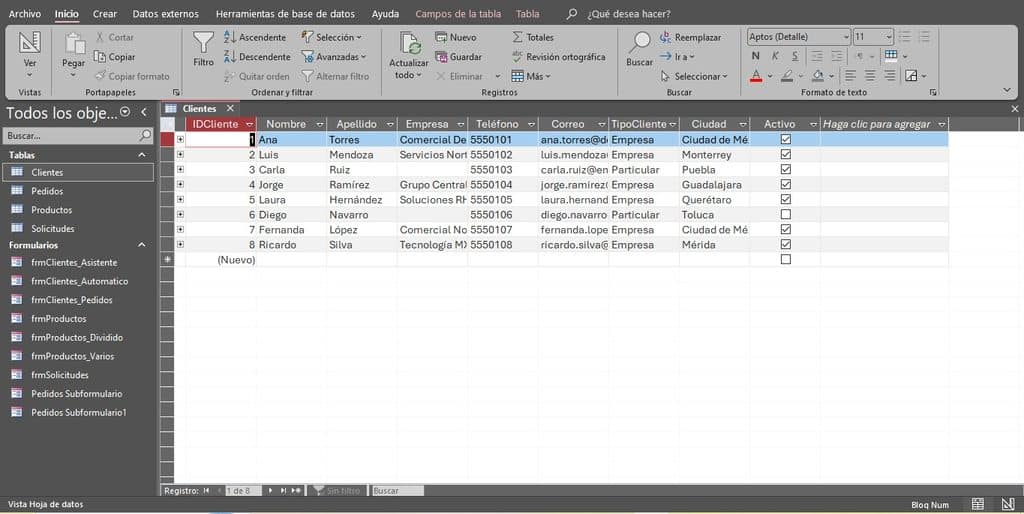 ¿Para qué sirven los Formularios en Access?