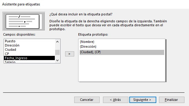 Diseño de la etiqueta